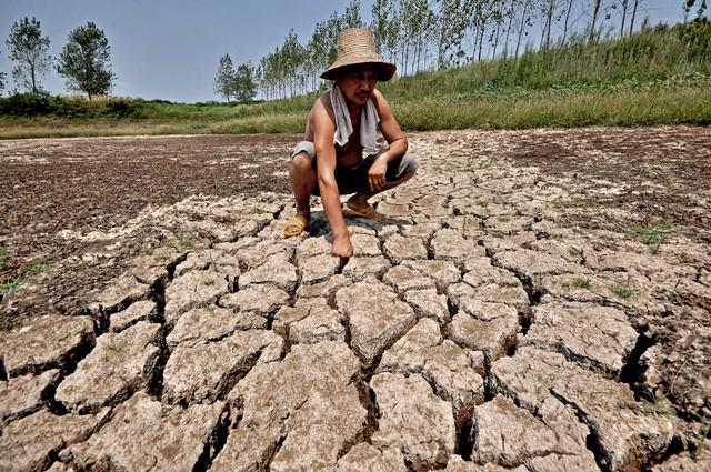 2025大旱预警！农民必备：5个土法保收成不看后悔一年！(图2)