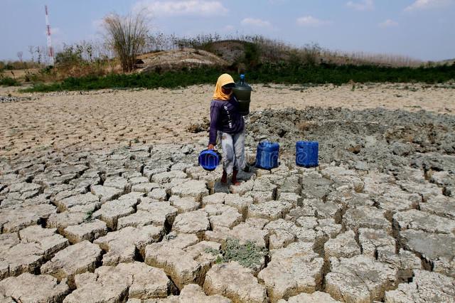 2025大旱预警！农民必备：5个土法保收成不看后悔一年！(图3)