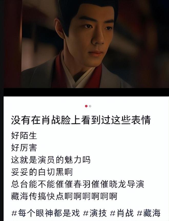 都惨！成毅《藏海传》被辱华女二搅黄肖战《赴山海》也被拖后腿(图13)